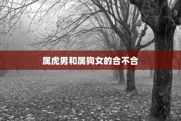 属虎男和属狗女的合不合