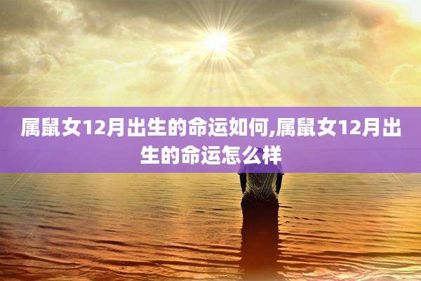属鼠女12月出生的命运如何,属鼠女12月出生的命运怎么样