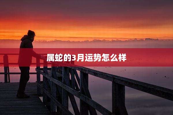 属蛇的3月运势怎么样