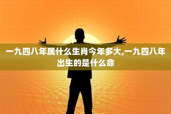 一九四八年属什么生肖今年多大,一九四八年出生的是什么命