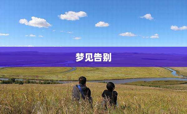 梦见告别