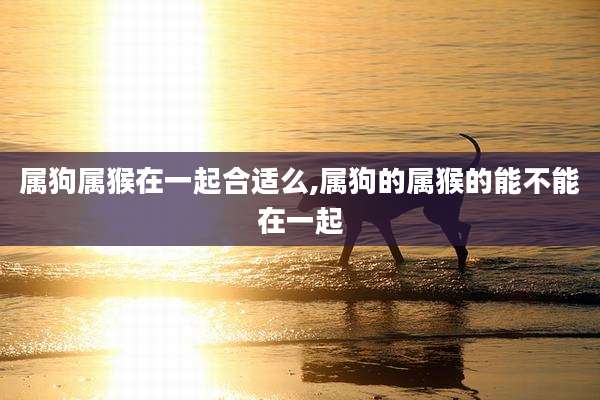 属狗属猴在一起合适么,属狗的属猴的能不能在一起