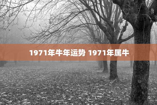 1971年牛年运势 1971年属牛