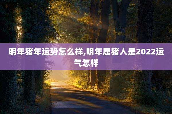 明年猪年运势怎么样,明年属猪人是2022运气怎样