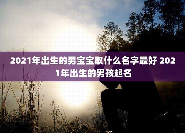 2021年出生的男宝宝取什么名字最好 2021年出生的男孩起名