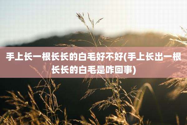 手上长一根长长的白毛好不好(手上长出一根长长的白毛是咋回事)