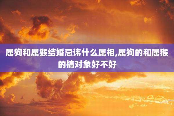 属狗和属猴结婚忌讳什么属相,属狗的和属猴的搞对象好不好