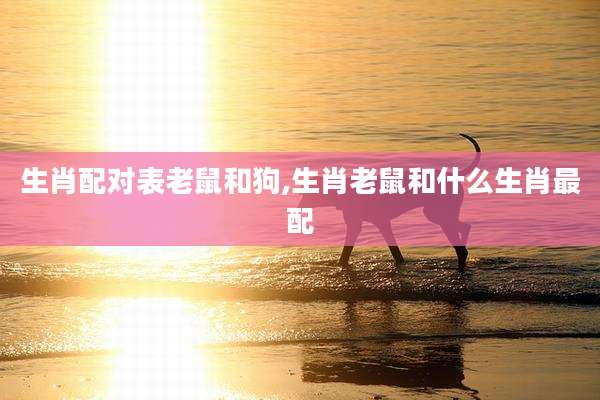 生肖配对表老鼠和狗,生肖老鼠和什么生肖最配