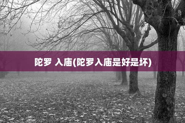 陀罗 入庙(陀罗入庙是好是坏)