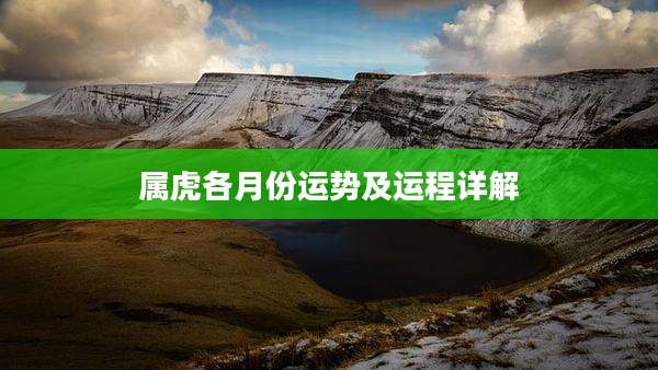 属虎各月份运势及运程详解