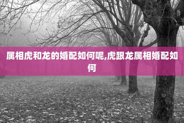 属相虎和龙的婚配如何呢,虎跟龙属相婚配如何
