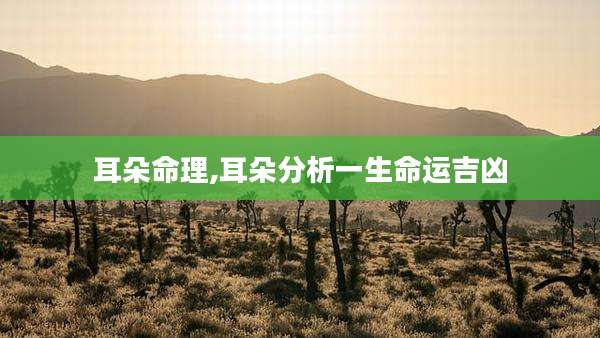 耳朵命理,耳朵分析一生命运吉凶