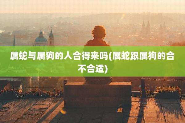 属蛇与属狗的人合得来吗(属蛇跟属狗的合不合适)