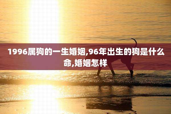 1996属狗的一生婚姻,96年出生的狗是什么命,婚姻怎样