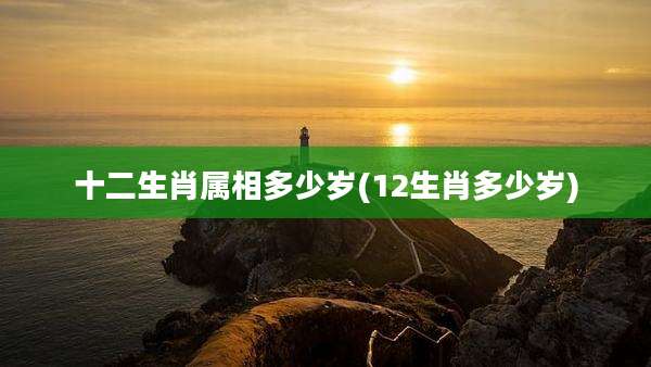 十二生肖属相多少岁(12生肖多少岁)