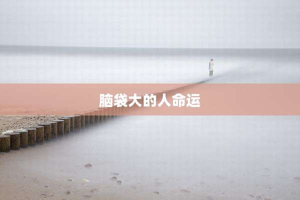 脑袋大的人命运