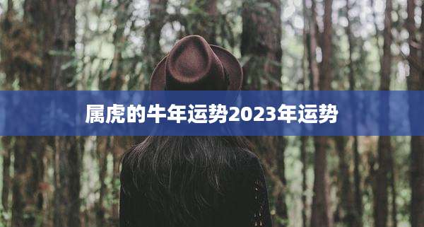 属虎的牛年运势2023年运势