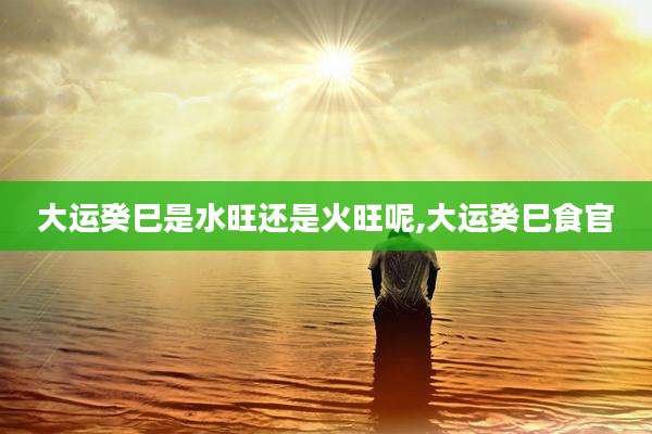 大运癸巳是水旺还是火旺呢,大运癸巳食官