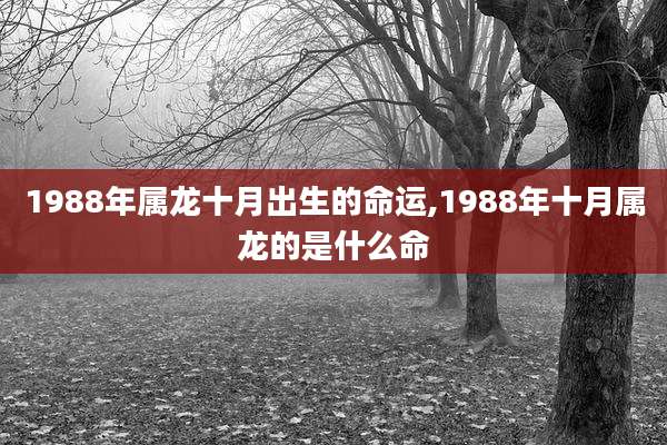 1988年属龙十月出生的命运,1988年十月属龙的是什么命