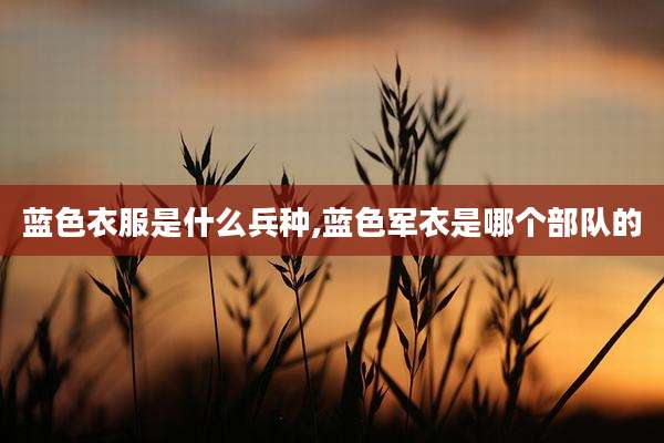 蓝色衣服是什么兵种,蓝色军衣是哪个部队的