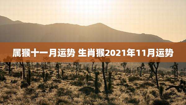 属猴十一月运势 生肖猴2021年11月运势