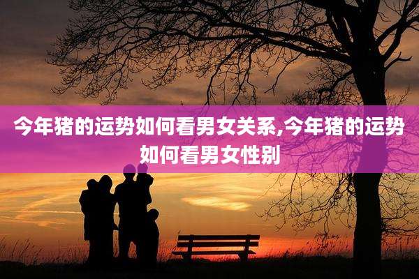 今年猪的运势如何看男女关系,今年猪的运势如何看男女性别