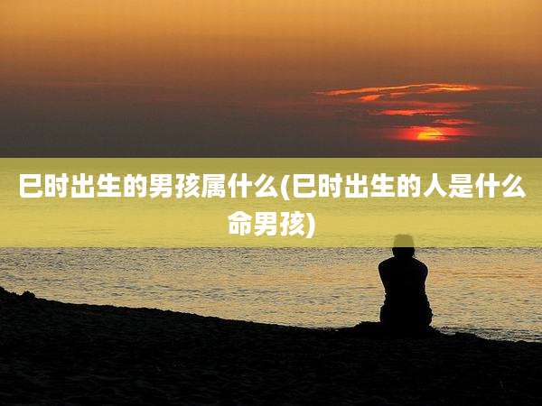 巳时出生的男孩属什么(巳时出生的人是什么命男孩)