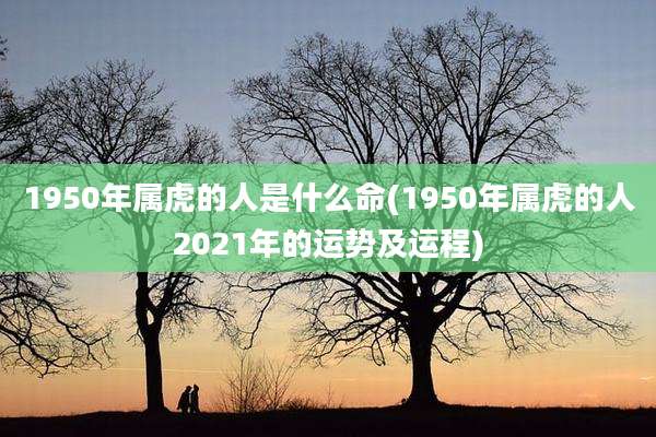 1950年属虎的人是什么命(1950年属虎的人2021年的运势及运程)