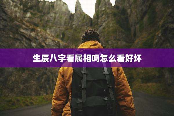 生辰八字看属相吗怎么看好坏