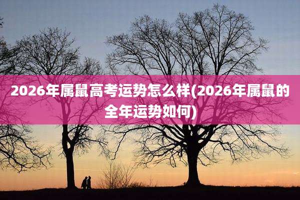 2026年属鼠高考运势怎么样(2026年属鼠的全年运势如何)