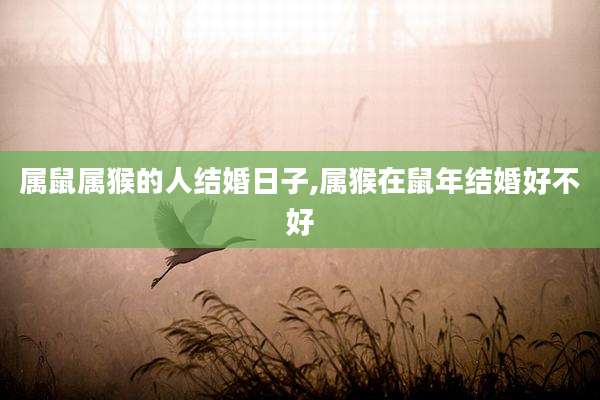 属鼠属猴的人结婚日子,属猴在鼠年结婚好不好