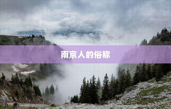 南京人的俗称