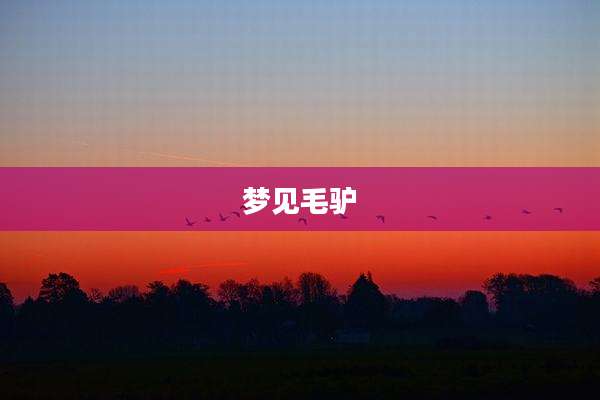 梦见毛驴