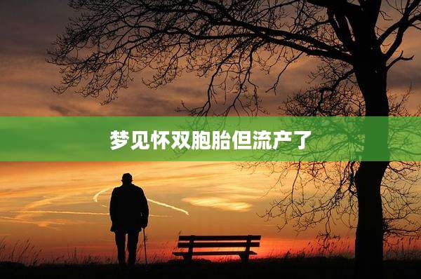 梦见怀双胞胎但流产了