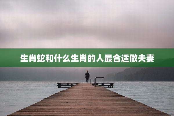 生肖蛇和什么生肖的人最合适做夫妻