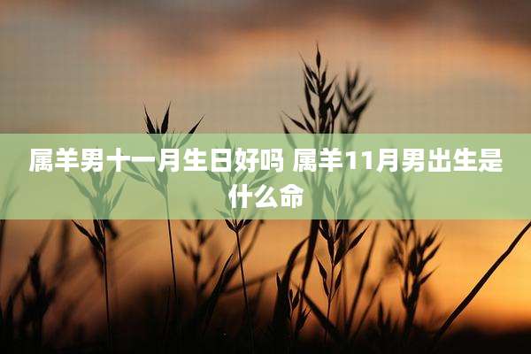 属羊男十一月生日好吗 属羊11月男出生是什么命