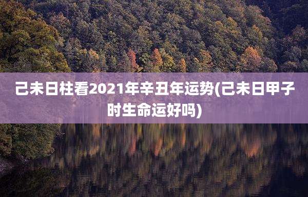 己未日柱看2021年辛丑年运势(己未日甲子时生命运好吗)