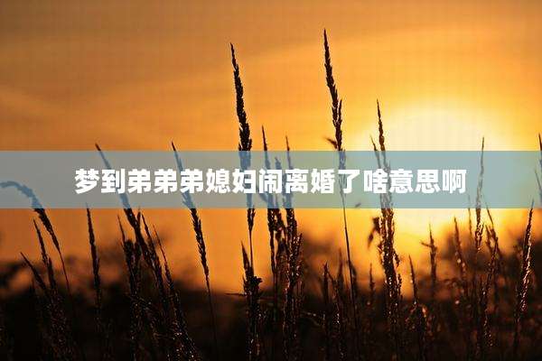 梦到弟弟弟媳妇闹离婚了啥意思啊
