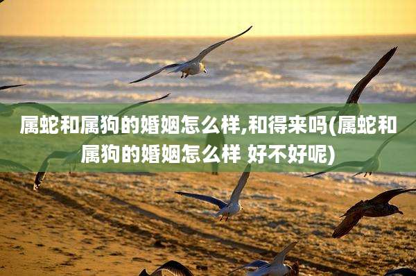 属蛇和属狗的婚姻怎么样,和得来吗(属蛇和属狗的婚姻怎么样 好不好呢)