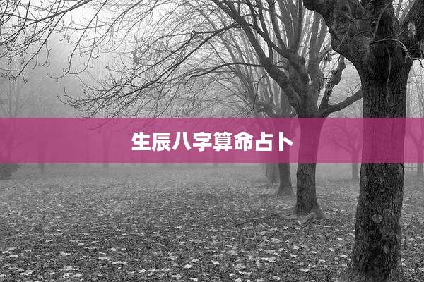 生辰八字算命占卜