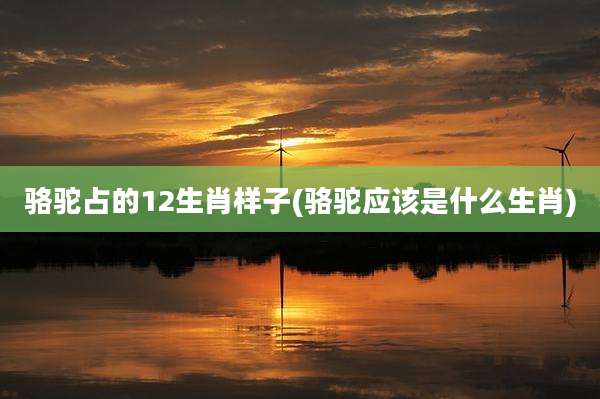 骆驼占的12生肖样子(骆驼应该是什么生肖)
