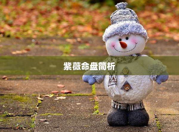 紫薇命盘简析