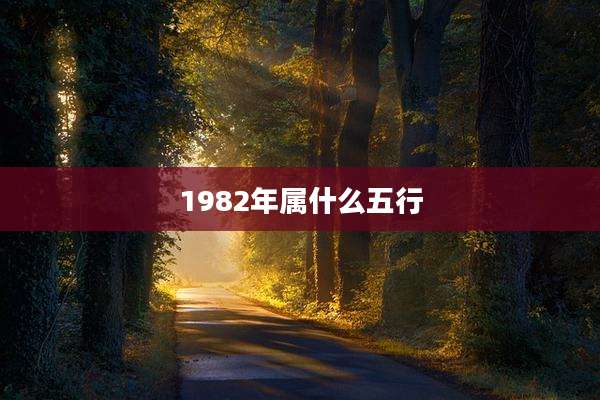 1982年属什么五行