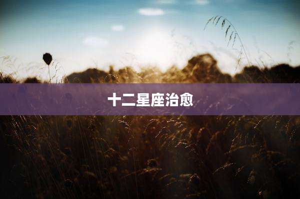 十二星座治愈