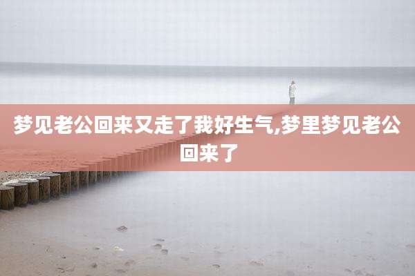 梦见老公回来又走了我好生气,梦里梦见老公回来了