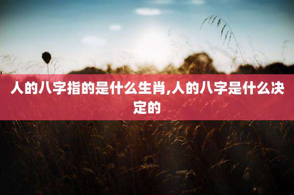 人的八字指的是什么生肖,人的八字是什么决定的