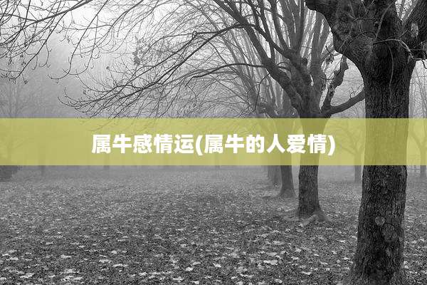 属牛感情运(属牛的人爱情)