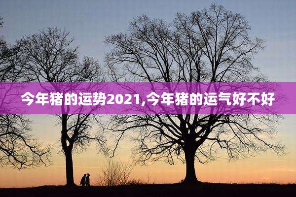 今年猪的运势2021,今年猪的运气好不好