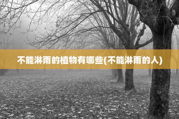 不能淋雨的植物有哪些(不能淋雨的人)