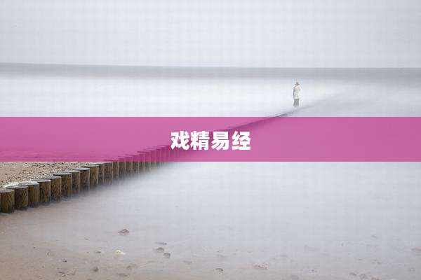 戏精易经